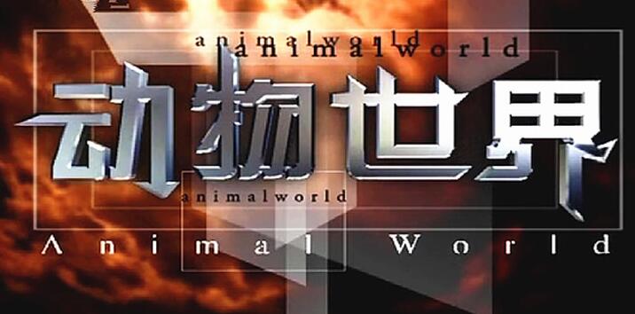 《动物世界》106集赵忠祥版高清合集插图 《动物世界》106集赵忠祥版高清合集