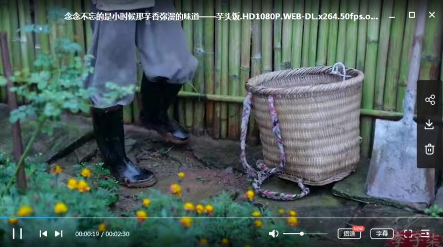 李子柒YouTube视频101集合集插图3 李子柒YouTube视频101集合集