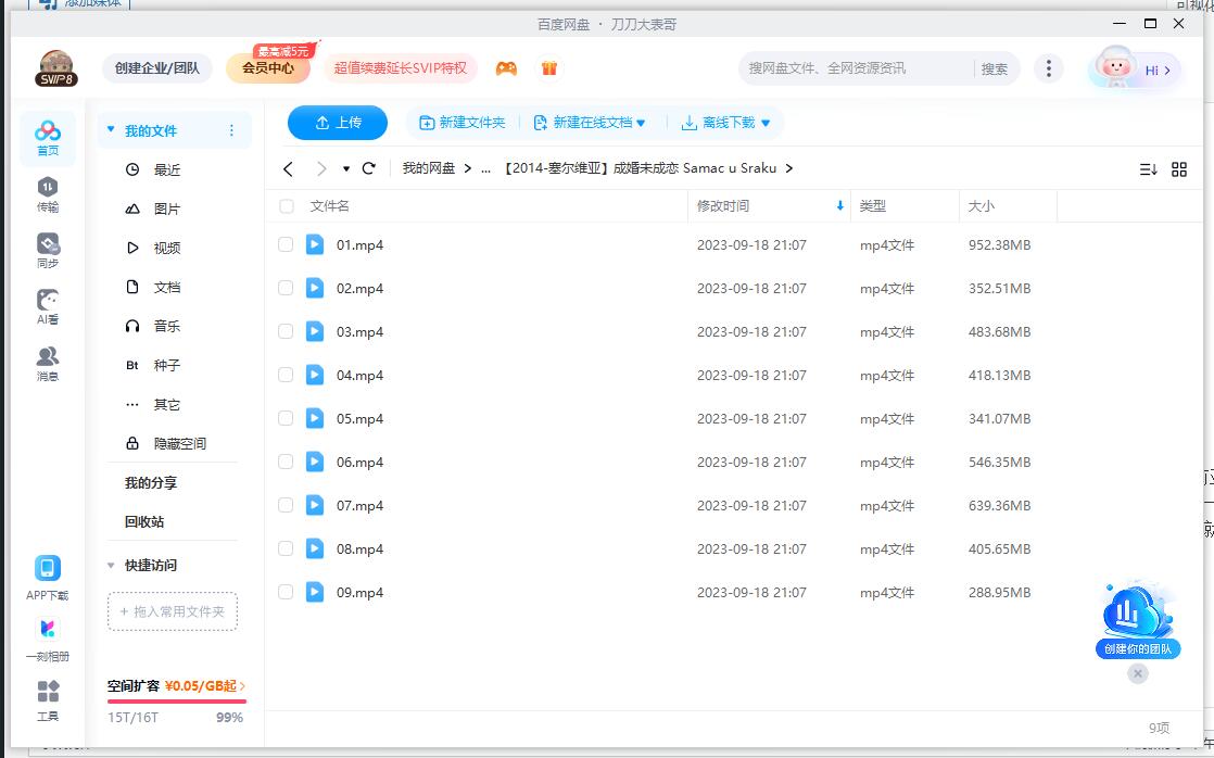 塞尔维亚剧《成婚未成恋》超清中字完整版插图2