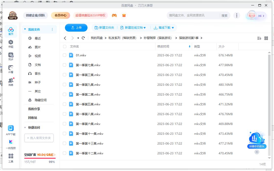 美剧《妙警贼探/猫鼠游戏》1-6季高清中字无删减