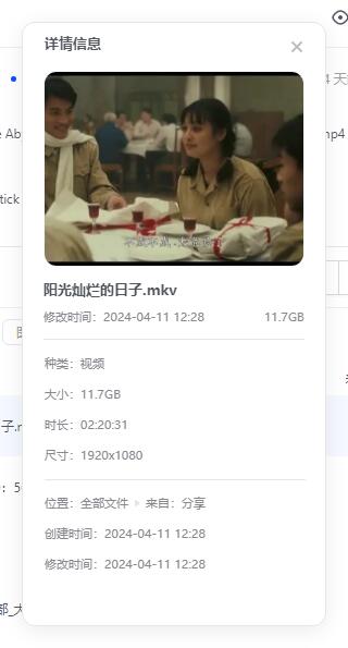 姜文电影《阳光灿烂的日子》高清未删减版插图1 姜文电影《阳光灿烂的日子》高清未删减版