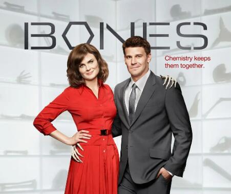 美剧《识骨寻踪》1-12季超清中字无删减