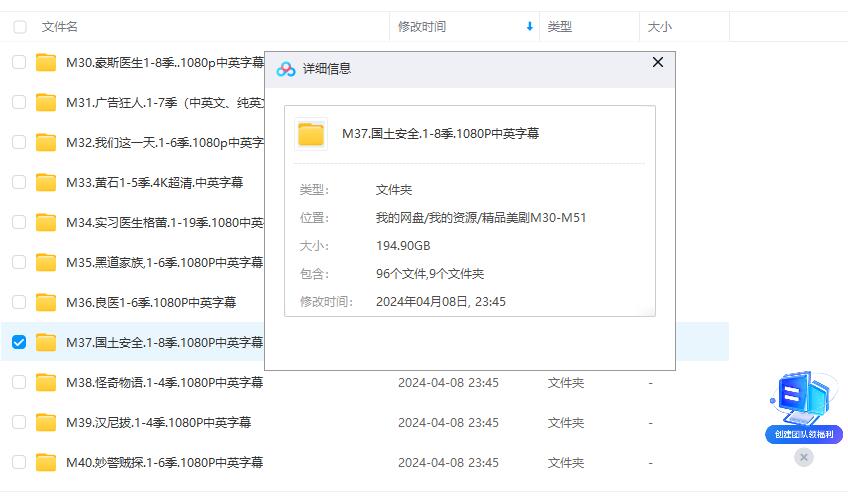 美剧《国土安全》1-8季超清1080P中英字幕无删减