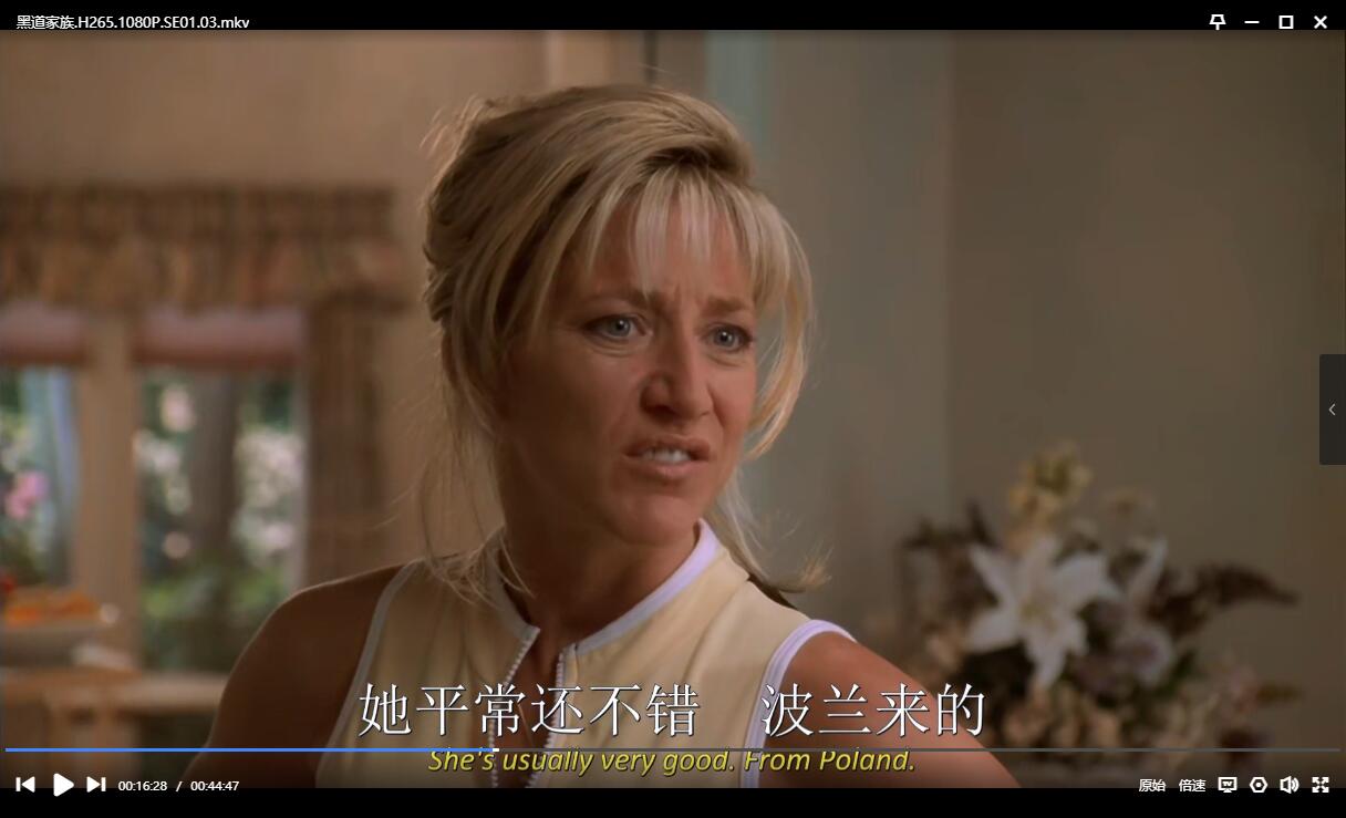 美剧《黑道家族》1-6季超清中字无删减