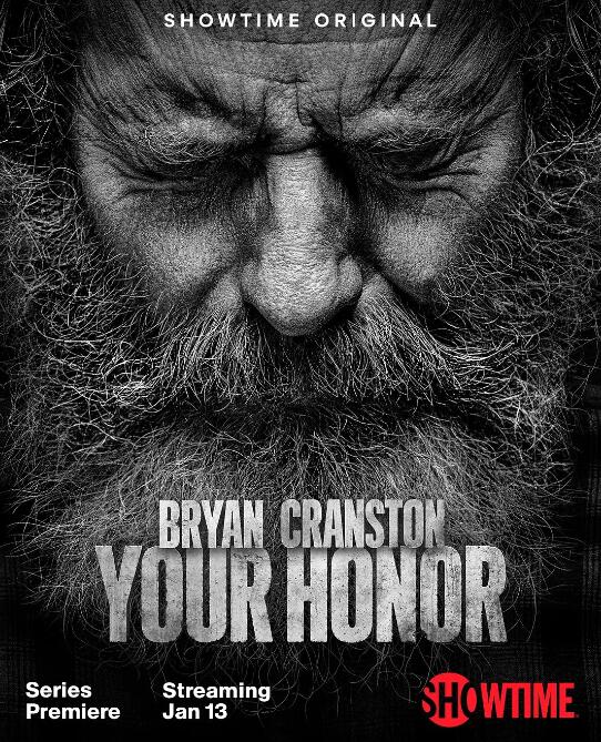 美剧《法官大人》1-2季中英双字幕1080P画质