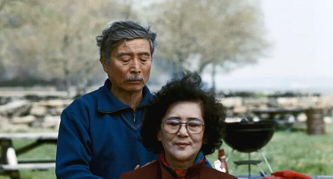 李安3部曲《推手+喜宴+饮食男女》超清中文字幕合集插图3