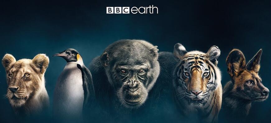 BBC纪录片378部共2500集高清英语中字