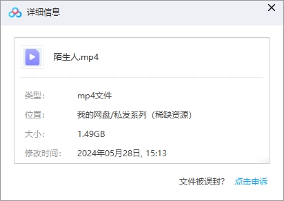2024网飞玛丽苏新片《Stranger/陌生人》超清中字无删减