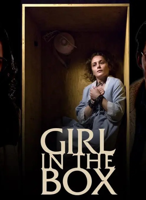 加拿大电影《箱子里的女孩》2016超清中字未删减