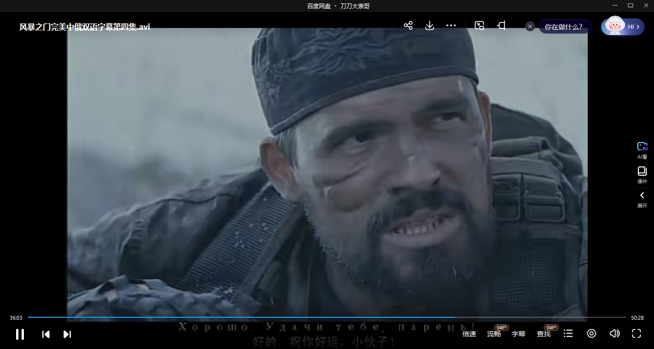 俄剧《风暴之门》中俄双语字幕4集全