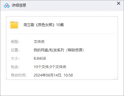 荷兰剧《夜色女郎》超清中字未删减10集全插图1