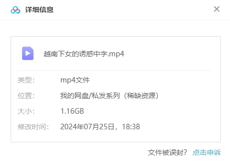 越南电影《下女的诱惑》高清中字无删减插图1