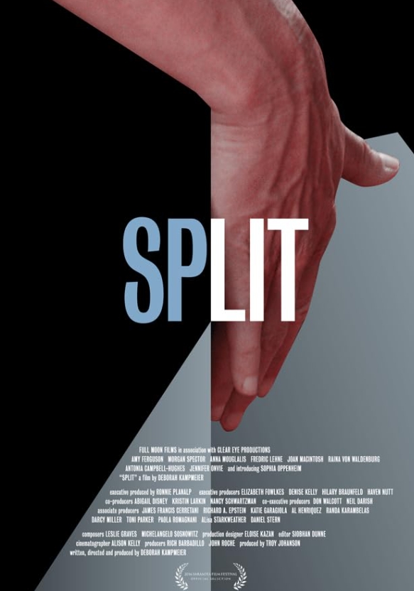 电影《分裂效应》2017超清中字无删减插图 电影《分裂效应》2017超清中字无删减