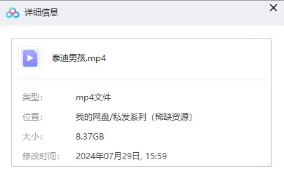 电影《泰迪男孩》2015超清中字无删减