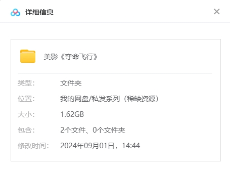 电影《夺命飞行》超清中字无删减