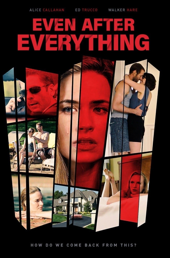 电影《偶然外遇》2018[超清中字/7.38G][百度网盘]