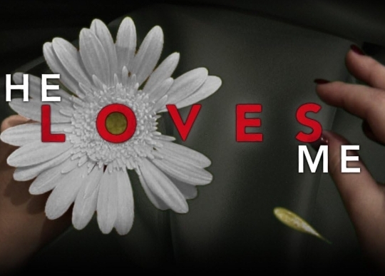 美国电影《他爱我》[2011][超清中字/7.07G][百度网盘]