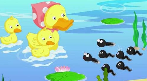 1~6岁宝宝早教故事，50讲音频合集插图