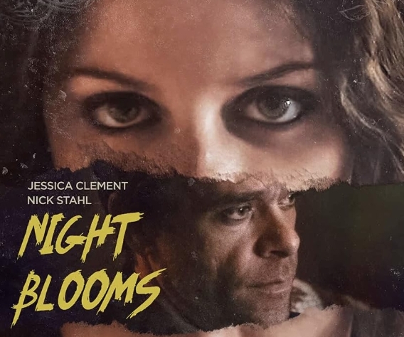 加拿大电影《夜之花》高清中字8.6G百度云网盘下载