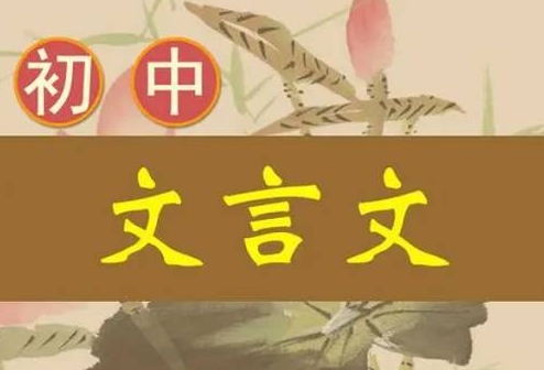 初中文言文+现代文阅读试题全突破，视频+课件合集插图