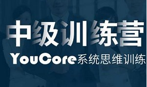 YouCore系统思维应用，21节视频+音频插图