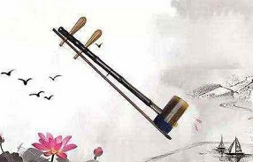 二胡从入门到大师教学，共20部视频合集插图