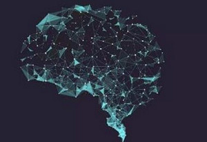 智识训练完结版，10讲视频合集