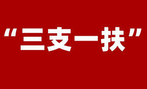 三支一扶/村官考试教学，94讲视频资料