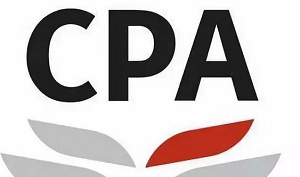 CPA注册会计师考试教学，1.8G视频+课件资料合集