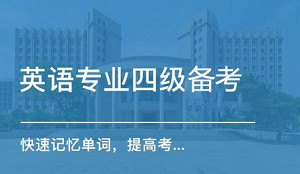 英语专业四级考试备考资料，视频+课件合集