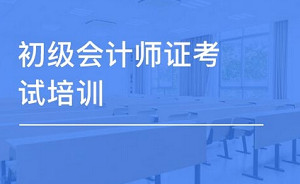 初级会计职称考试资料，22G视频+课件合集