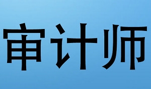 审计师考试资料，12.6G视频合集插图