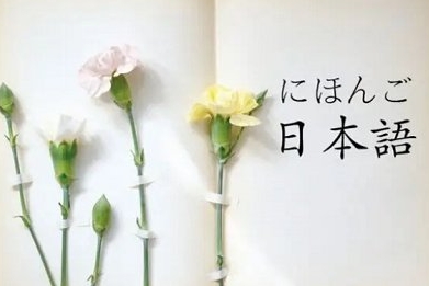 日语考级资料教程，24讲视频+音频合集插图