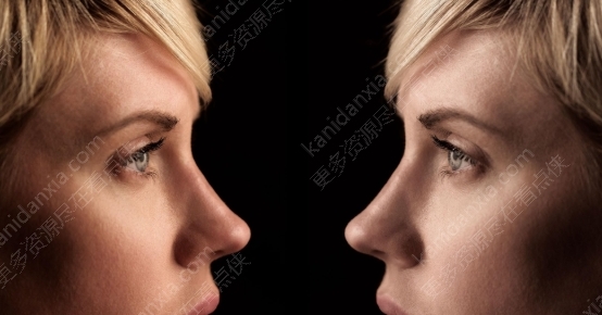 加拿大电影《光影之书》[2013][高清中字/2.63G][百度网盘]