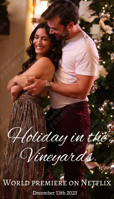 玛丽苏电影《葡萄庄园的圣诞节》[2023][超清中字][迅雷网盘]​