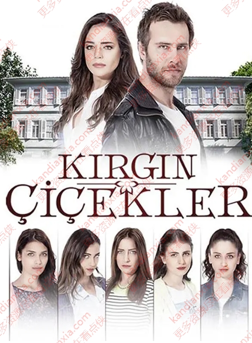 土剧《粉碎的花朵》[1-3季][超清中字/106.2G][百度网盘]​