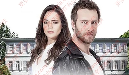 土剧《粉碎的花朵》[1-3季][超清中字/106.2G][百度网盘]​