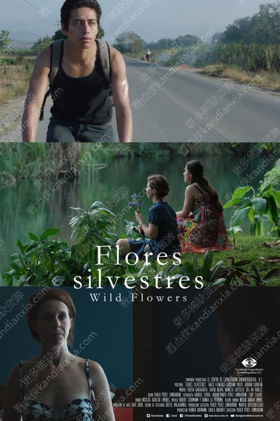 墨西哥电影《野花》[2015][高清中字/335M][迅雷网盘]​
