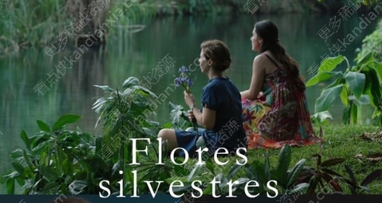 墨西哥电影《野花》[2015][高清中字/335M][迅雷网盘]​