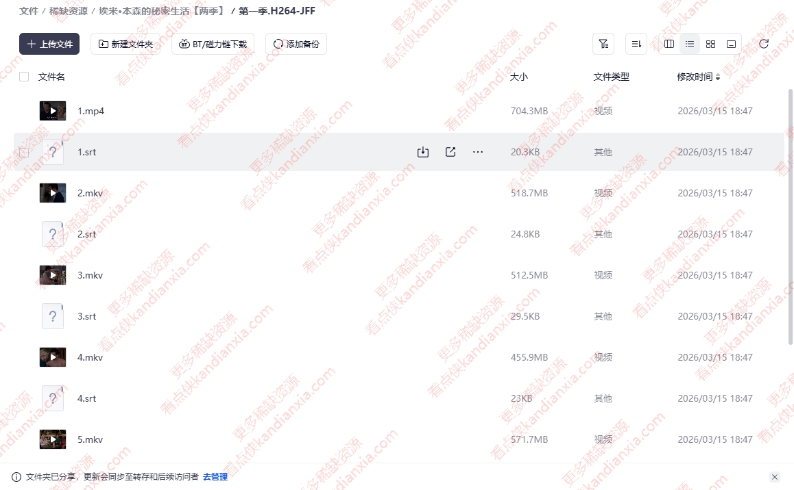 美剧《艾米·本森的秘密生活》[1-2季][高清中字][夸克网盘]
