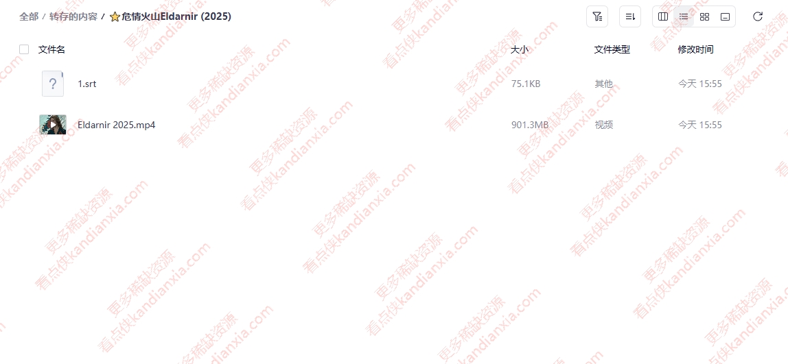 冰岛电影《危情火山》[2025][超清中字][夸克网盘]