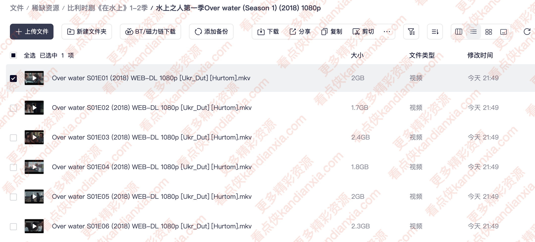 比利时剧《在水上/Over Water》[1-2季][超清中字][夸克网盘]