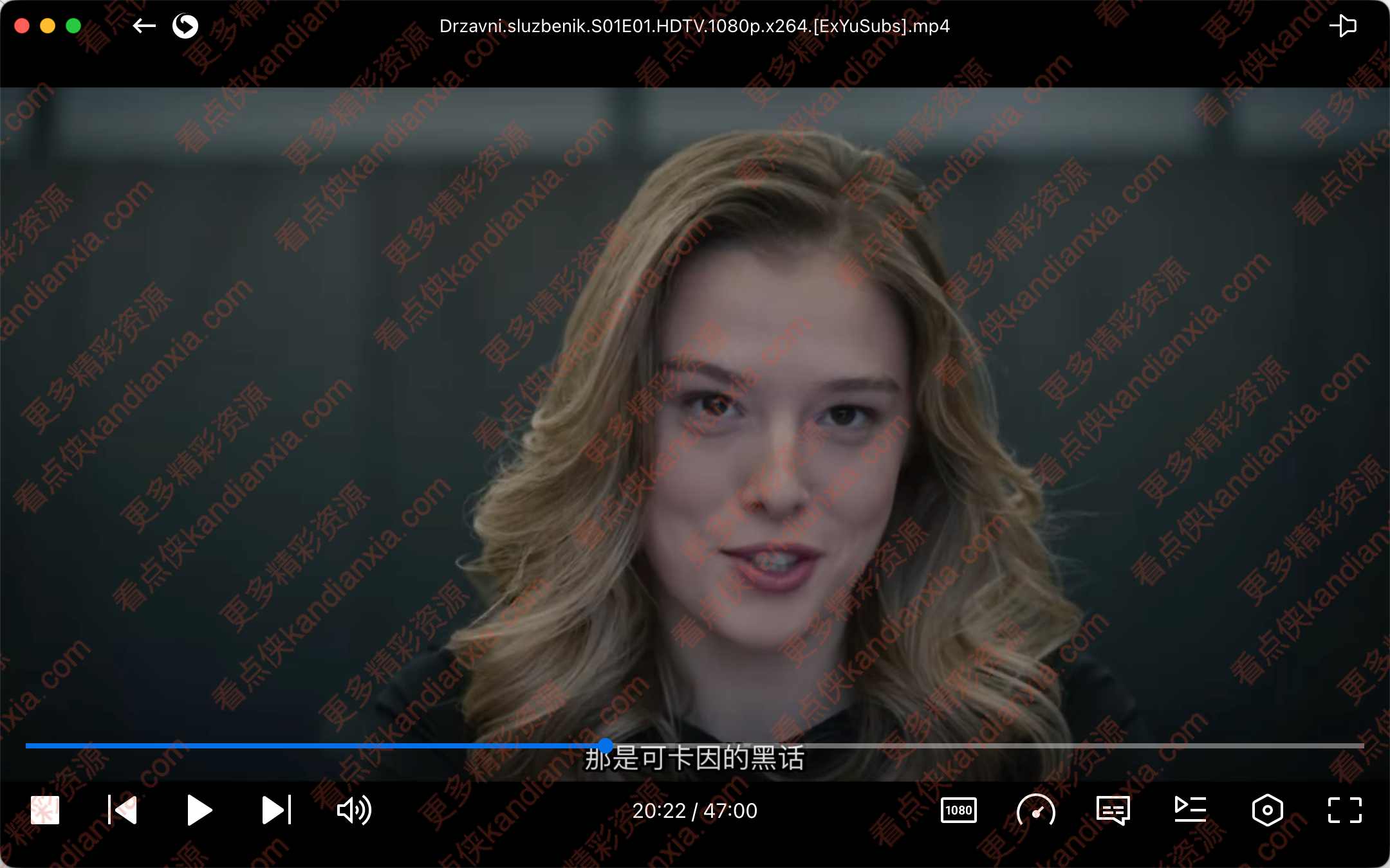 塞尔维亚剧《公务员》[1-2季][超清中字][迅雷网盘]​