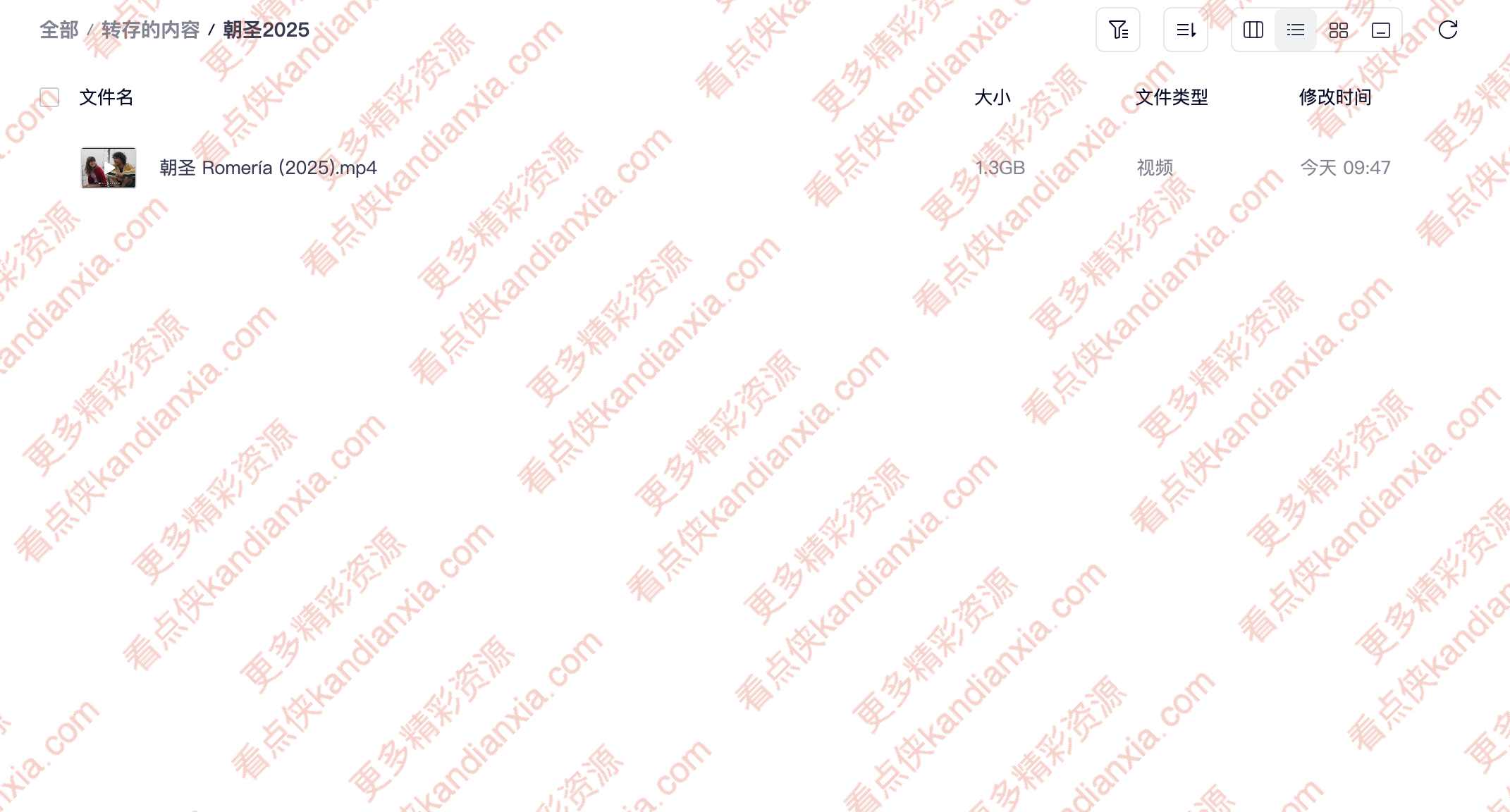 西班牙电影《朝圣》[2025][高清中字/1.3G][夸克网盘]