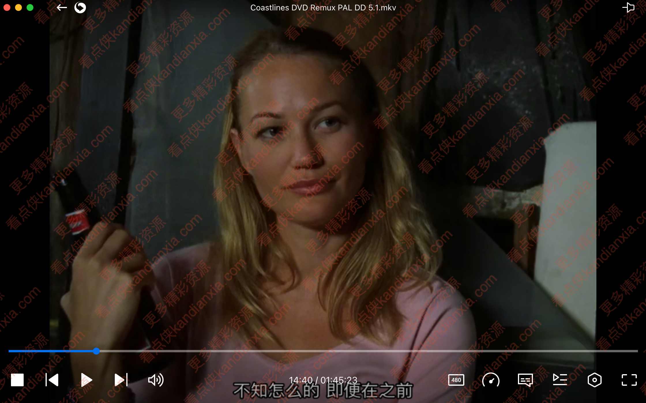 美国电影《海岸线》[2002][中文字幕/3.4G][迅雷网盘]​