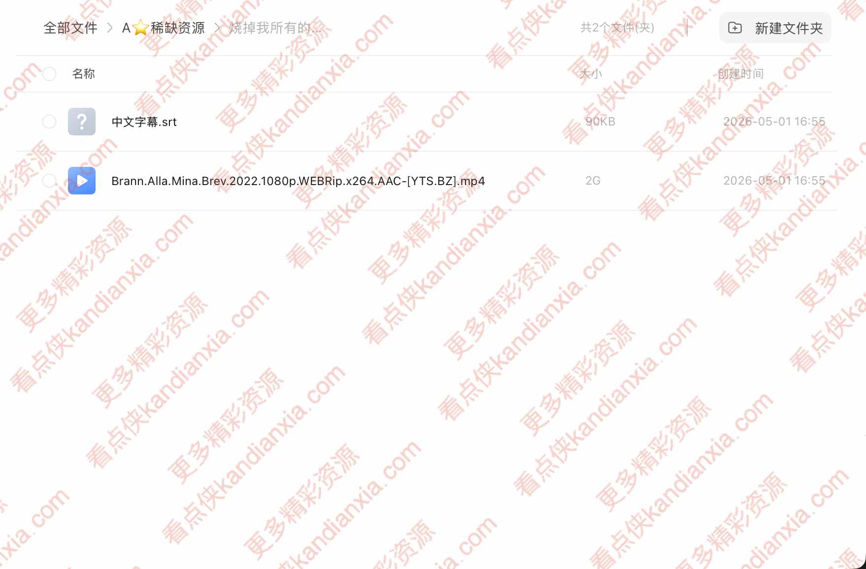 瑞典电影《烧掉我所有的信》[2022][超清中字/2G][迅雷网盘]