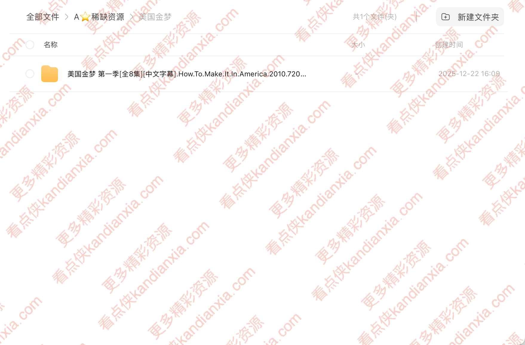 美剧《美国金梦》[2010][高清中字/8集全][迅雷网盘]​