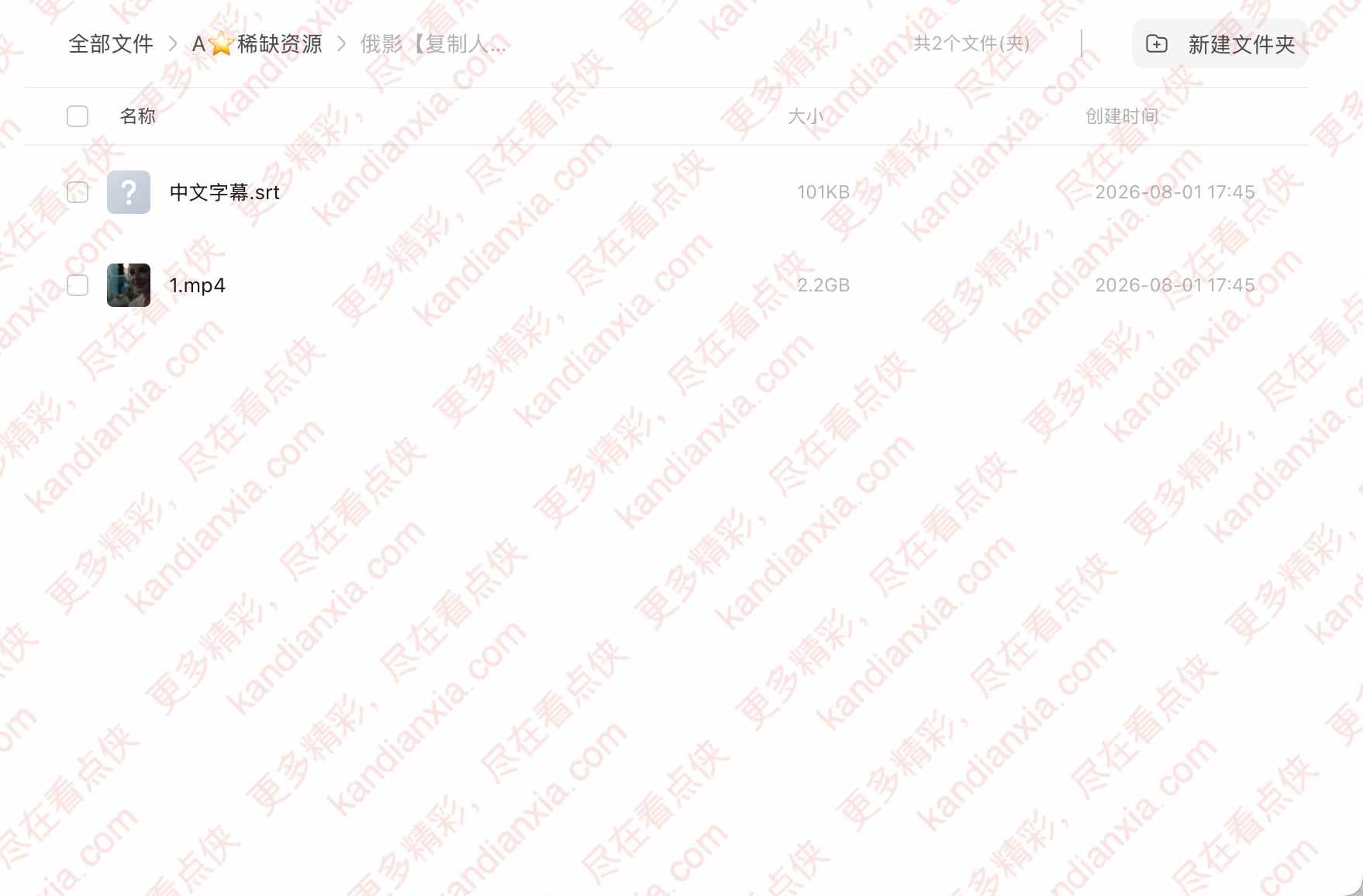 俄罗斯电影《Replika》[2024][高清中字/2.2G][迅雷网盘]​