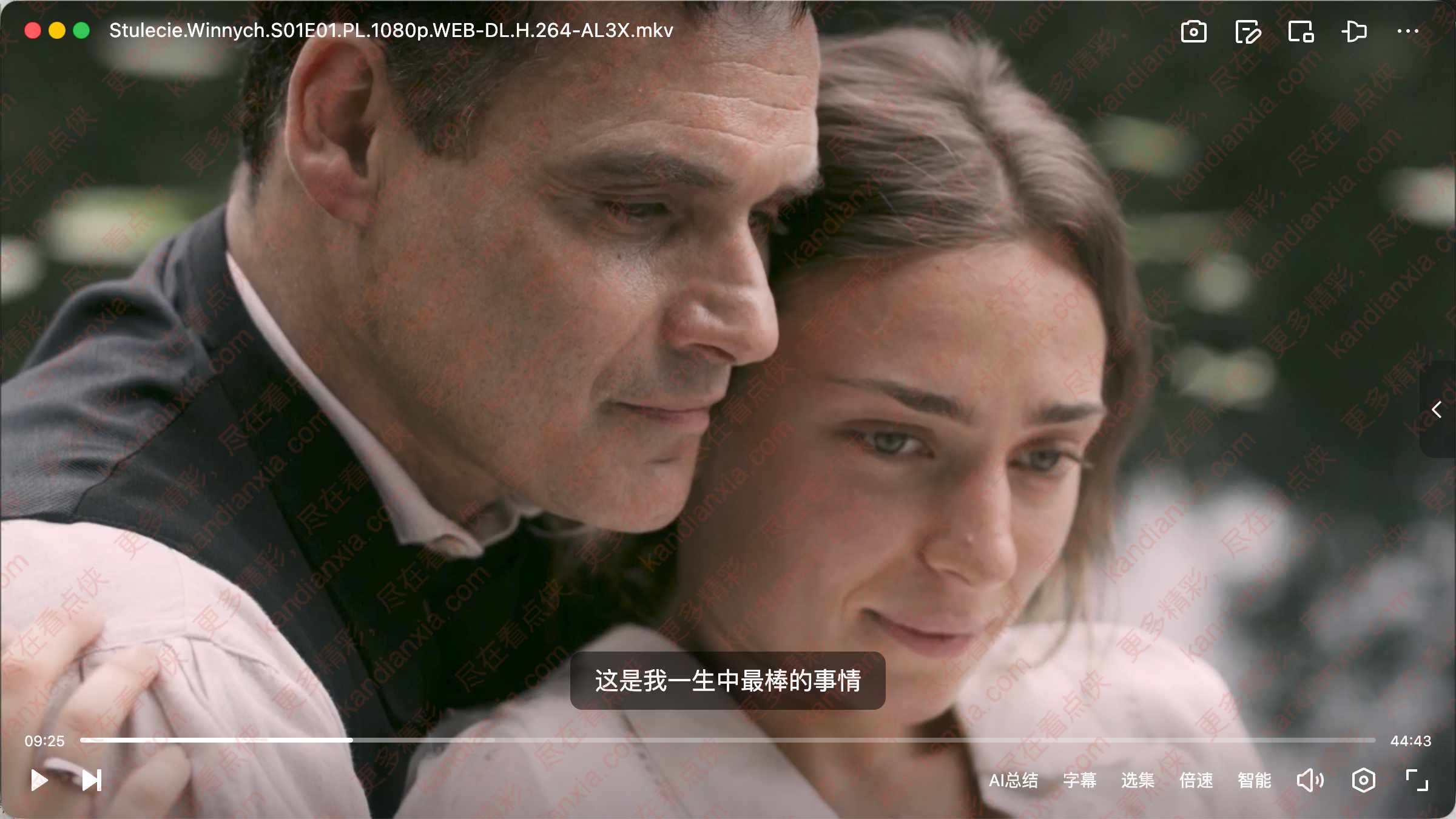 波兰剧《温尼家族》[1-4季][超清中字/82.3G][夸克网盘]​
