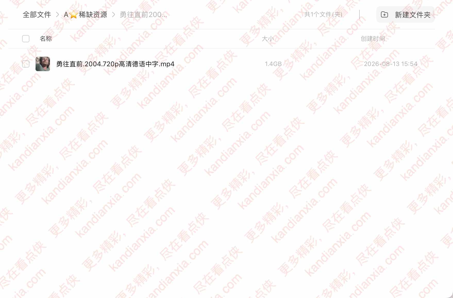 德国电影《勇往直前》[2004][高清中字/1.4G][迅雷网盘]​